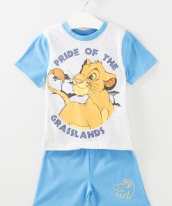 Ensemble le roi lion