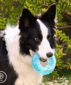 Jouet à Mordre 2 en 1 Congelable pour Animaux de Compagnie Glubiz InnovaGoods
