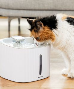 Fontaine pour Animaux de Compagnie Drinkatt InnovaGoods